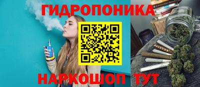 a pvp Ижевск