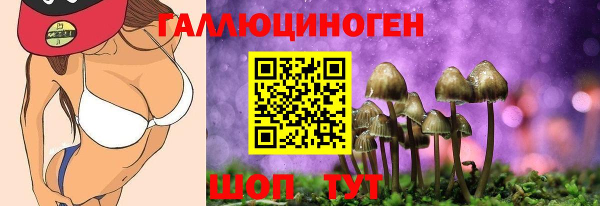 Алексеевка  Псилоцибиновые грибы прущие грибы  Вход с VPN  Псилоцибиновые грибы мухоморы 